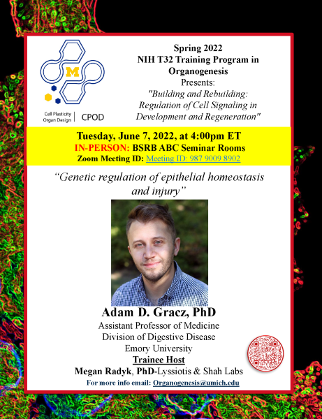Gracz flyer