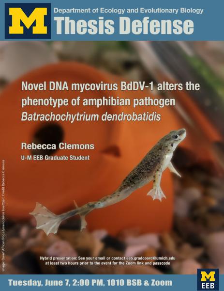 Poster advertising a thesis defense featuring a jumping frog