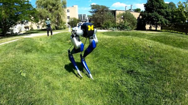 Cassie robot walking on wave field