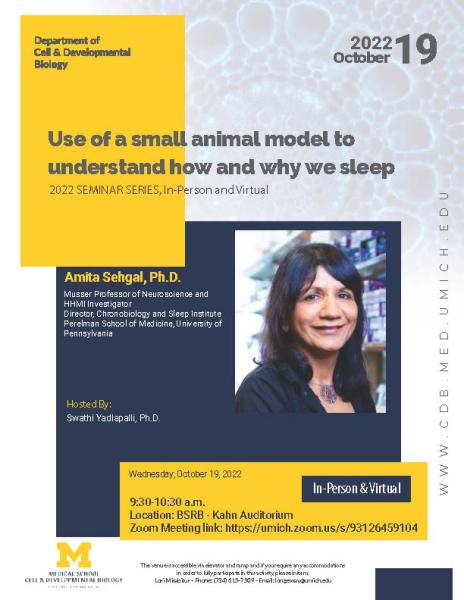 Use of a small animal model to understand how and why we sleep