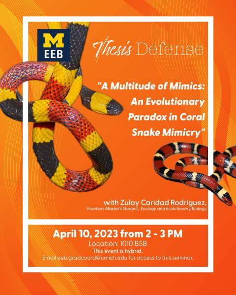 event poster