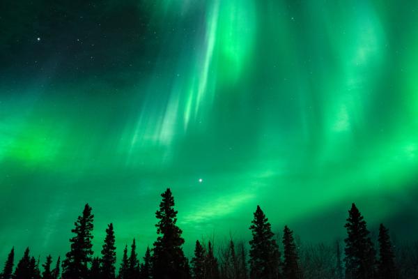 Northern Lights in Manitoba. Courtesy: Ross Ellet