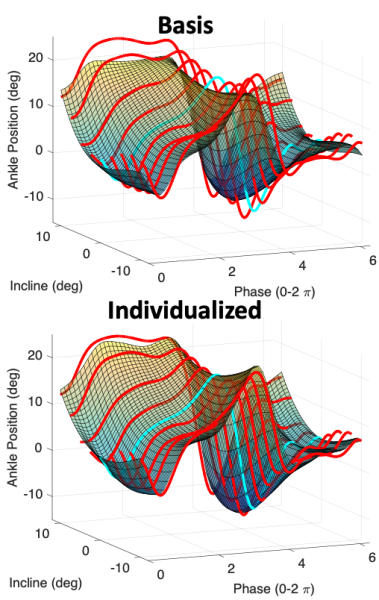 Ankle position and phase diagrams