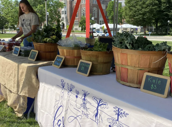 Beautiful student grown produce displayed on a table with a UM Farm Stand staff member in the background.