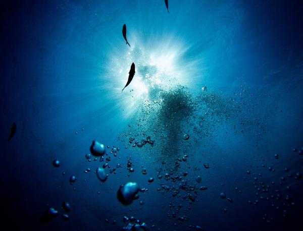 under water looking up and seeing bubbles and diffused light