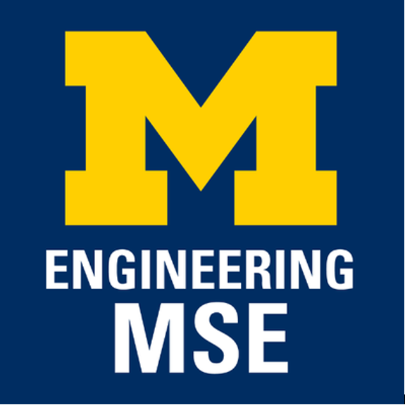 MSE Logo
