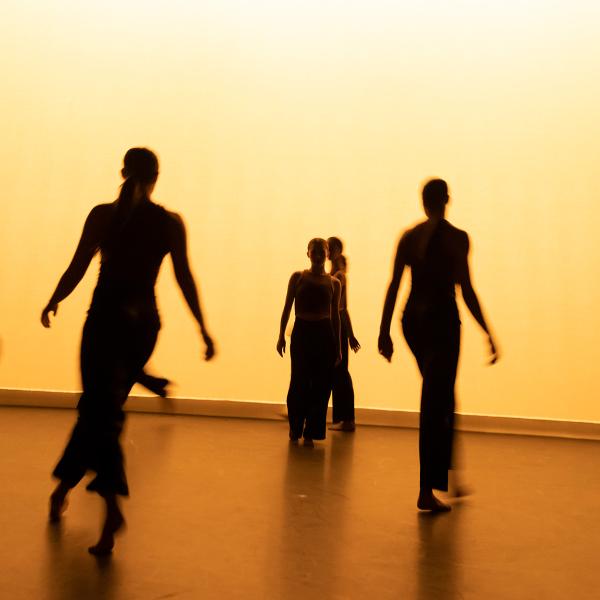 First Year and Sophomore Composition Class Showing