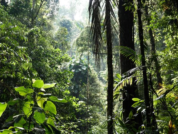 Understanding Biodiversity in a Changing Planet
