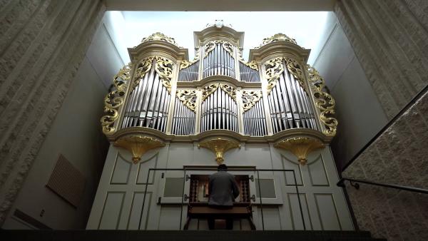 Christine El-Hage, organ
