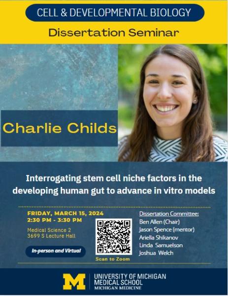 Interrogating stem cell niche factors in the developing human gut to advance in vitro models
