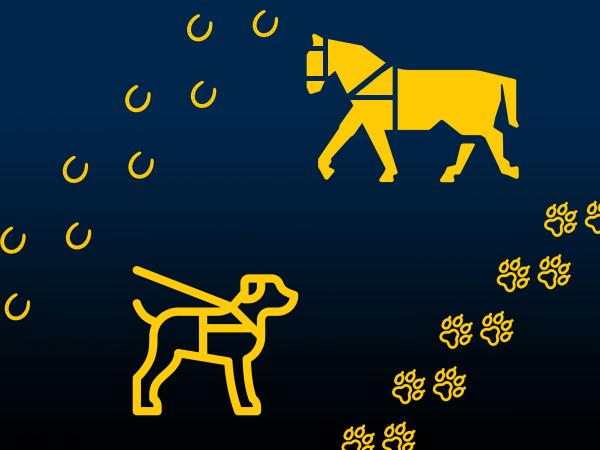 Service animal dog and mini horse, paw and hoof prints.