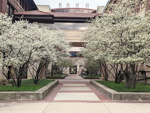 University of Michigan Physics Department and Homer A. Neal Buildings