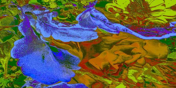 Multicolor abstract photograph