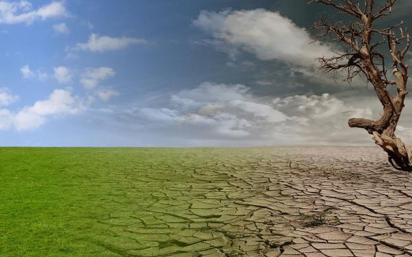 Climate Crisis