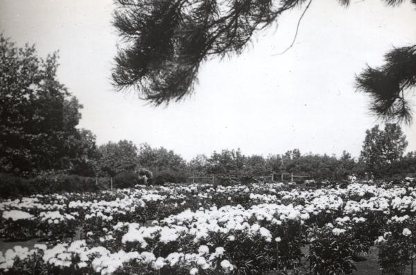 The Detroit Observatory