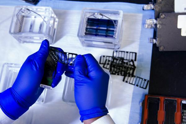 DNA Genotyping and Sequencing. A technician at the Cancer Genomics Research Laboratory, part of the National Cancer Institute's Division of Cancer Epidemiology and Genetics (DCEG), washes arrays used in genome-wide association studies (GWAS). These studies search the genome for small variations, called single nucleotide polymorphisms or SNPs, that occur more frequently in people with a particular disease than in people without the disease.