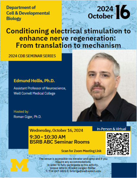 Conditioning electrical stimulation to enhance nerve regeneration: From translation to mechanism