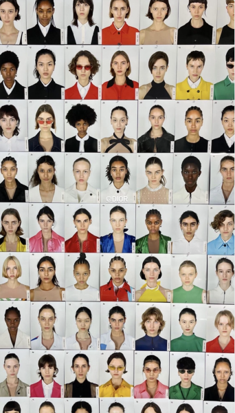 A matrix of diverse models.