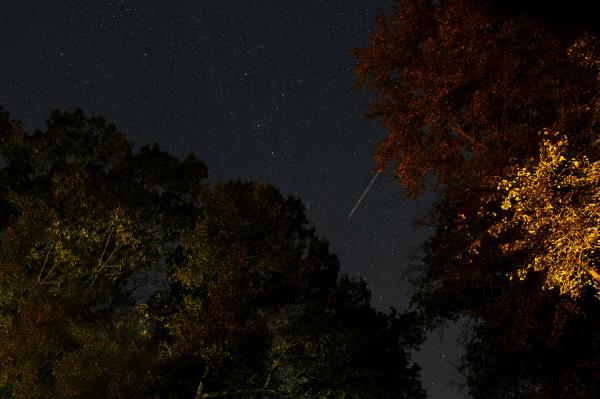 Stars on a clear night