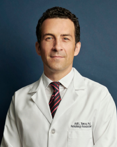 Dr. Adi L. Tarca