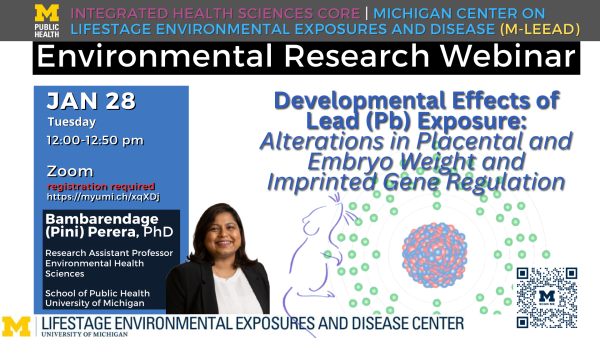 Jan 28 zoom webinar on the developmental effects of lead exposure presented by UM SPH EHS Research Assistant Professor Pini Perera