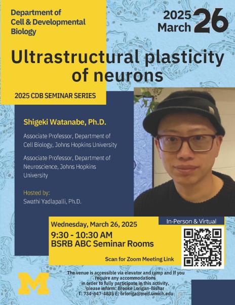 The venue is accessible via elevator and ramp and if you require any accommodations in order to fully participate in this activity, please inform: Brooke Lorigan-Bishar T: 734-647-4835 E: brloriga@med.umich.edu 9:30 - 10:30 AM BSRB ABC Seminar Rooms Ultrastructural plasticity of neurons