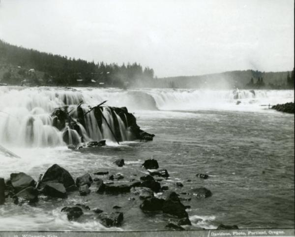 River with large cascades and rocks and a tree line behind the river