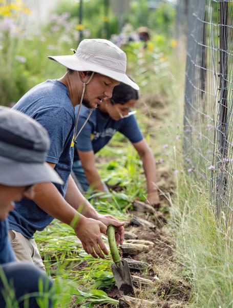 A group of students is planting.