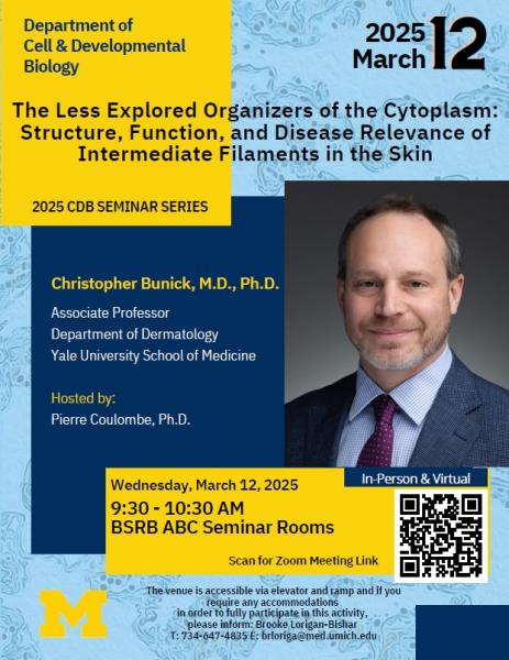 The Less Explored Organizers of the Cytoplasm: Structure, Function, and Disease Relevance of Intermediate Filaments in the Skin