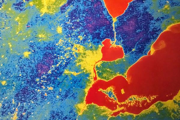 "A Midsummer's Night Dream," Geospectra Corporation, 1982 -- a dreamy image of Detroit in colors, with bodies of water in prominent red shapes, highly populated areas as yellow splotches surrounded by green, and the rest in variations of blue and purple.
