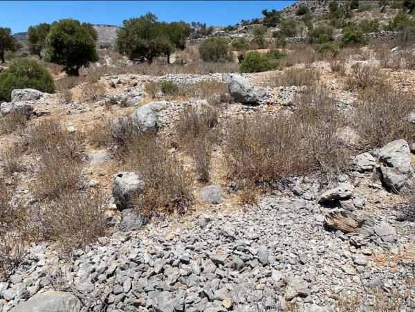 Hillside with dry, scrubby brown grass clumps and rock piles
