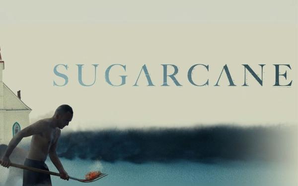 Sugarcane