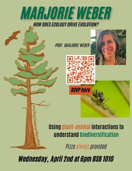 Advertising Flyer