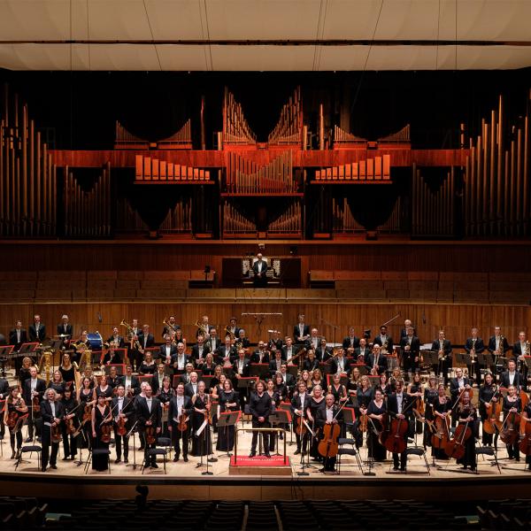Wideview of entire orchestra