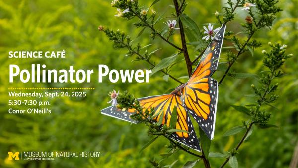 Origami monarch butterfly posed in pollinator garden