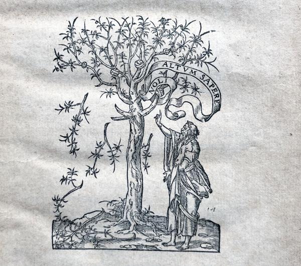 Man pointing up toward  the branches of an olive tree with the text "alt um sapere noli" which means "Don't be afraid to know."