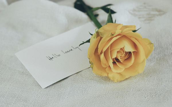 Card with a rose on top of it