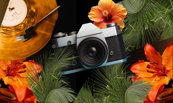 A camera centered and surrounded by plam leaves and pink and orange flowers, with a record in the corner.