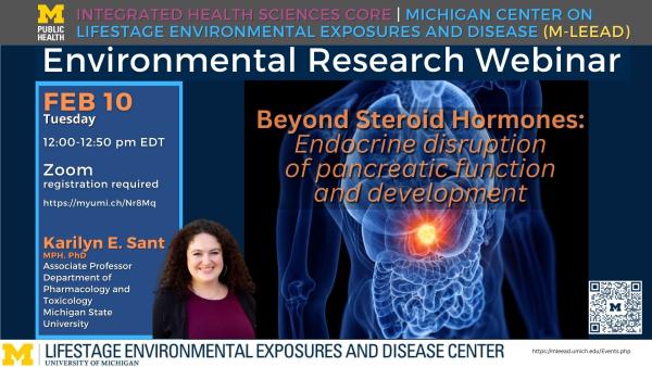 Beyond Steroid Hormones: Endocrine disruption of pancreatic function & development (02/10 Webinar, w/Karilyn Sant, MSU) | Environmental Health Research Webinar Series | M-LEEaD
