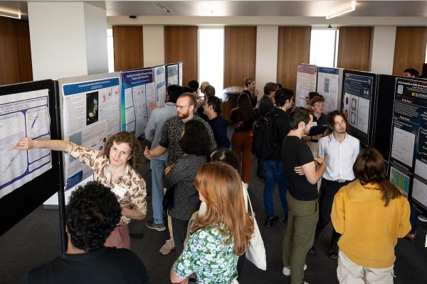 scholars discuss their research findings and look at figures on posters