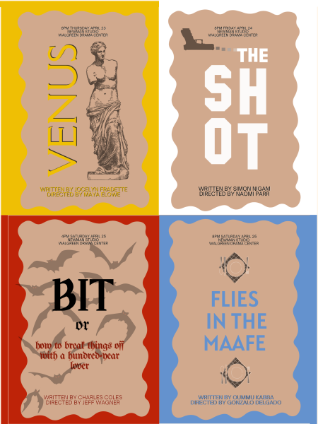 PlayFest: Flies in the Maafe