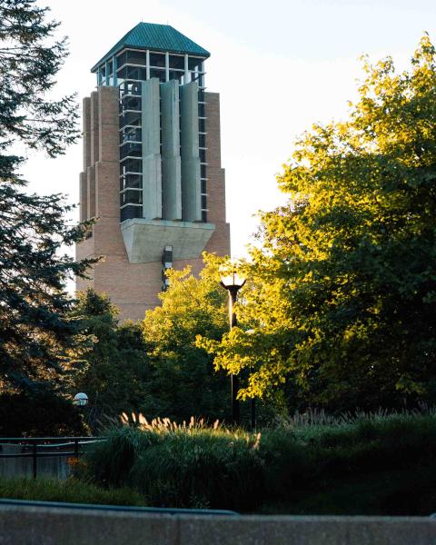 North Campus trees with Lurie Tower rising above in the distance.