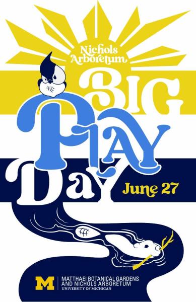 Big Play Day Poster