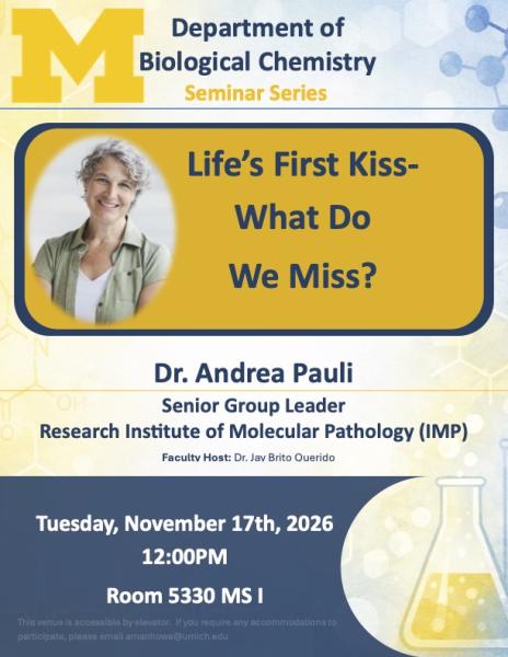 Pauli Seminar