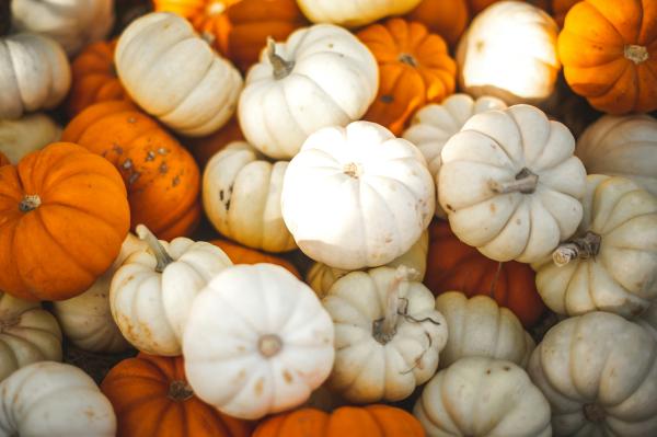 Pick-a-Pumpkin