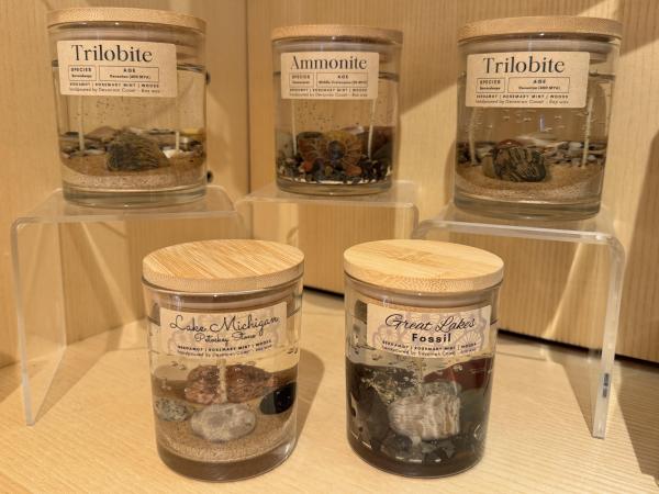 Collection of clear candles with fossils encased inside