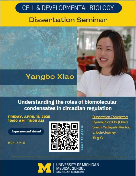 (Expired) Understanding the role of biomolecular condensates in ...