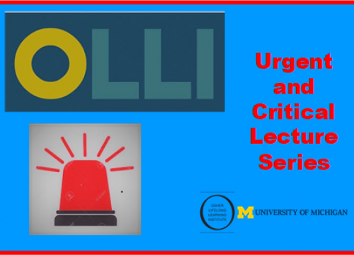 In what manner can you apply your critical thinking skills especially in this pandemic situation picture