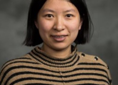 (Expired) Statistics Department Seminar Series: Yang Chen Assistant