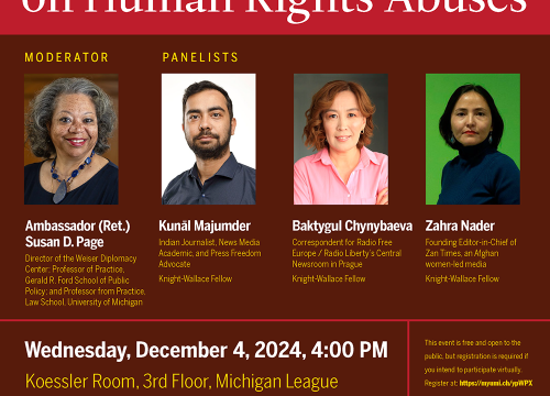 (Expired) Donia Human Rights Roundtable | The Hazards of Reporting on ...